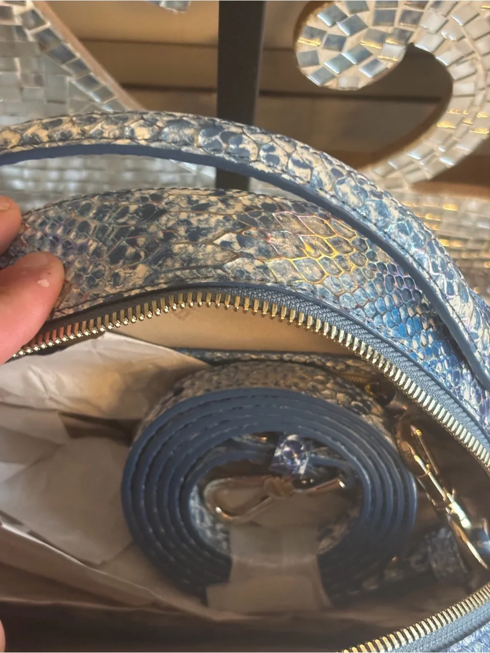 ⭐️Brahmin Lane Joyful Oceangrove Leather Handbag